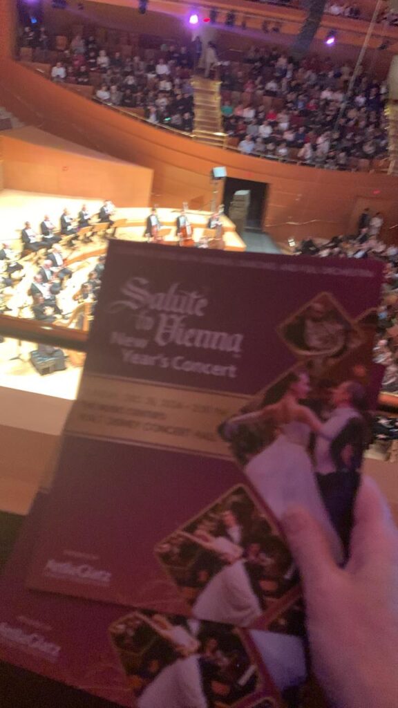 Salute To Vienna New Year’s Concert