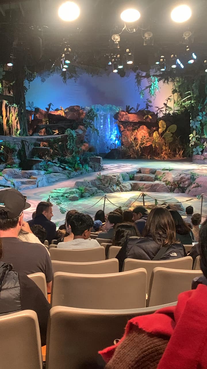 Grumpy Monkey The Musical